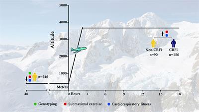 Prediction of High-Altitude Cardiorespiratory Fitness Impairment Using a Combination of Physiological Parameters During Exercise at Sea Level and Genetic Information in an Integrated Risk Model